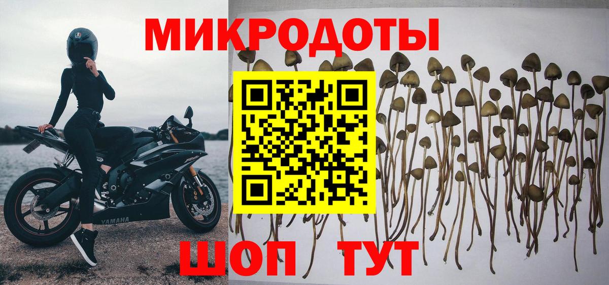 Абинск  Галлюциногенные грибы Psilocybine cubensis  Вход с VPN  хочу   Псилоцибиновые грибы ЛСД 
